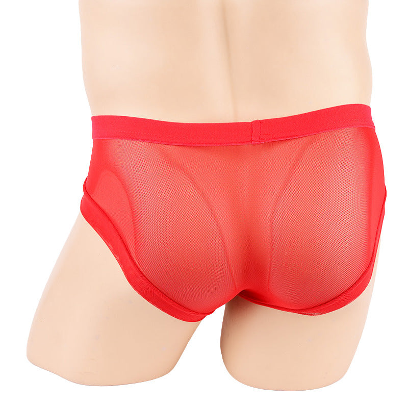Micro Mini Hose Short Mesh Briefs