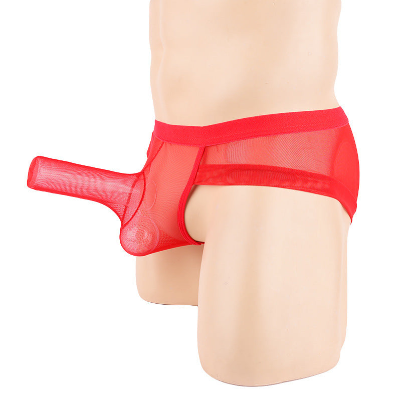 Micro Mini Hose Short Mesh Briefs