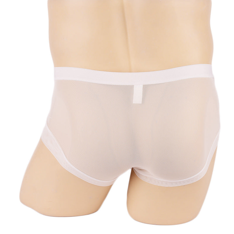 Micro Mini Hose Short Mesh Briefs