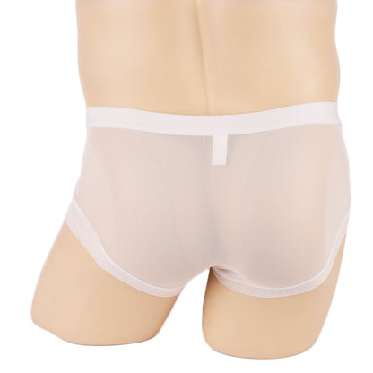 Micro Mini Hose Short Mesh Briefs